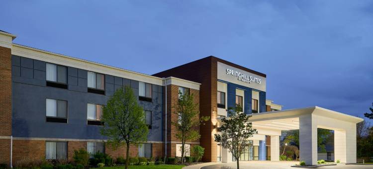 底特律南菲尔德万豪SpringHill酒店(SpringHill Suites Detroit Southfield)图片