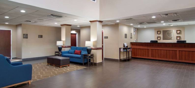 伍德斯托克舒适套房酒店- 亚特兰大北(Comfort Suites Woodstock - Atlanta North)图片