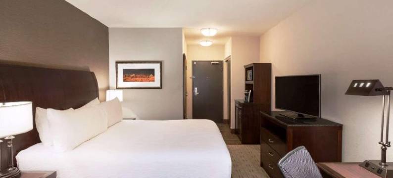 希尔顿花园旅馆-泰克瑟马活动中心丹尼森谢尔曼(Hilton Garden Inn Denison/Sherman/at Texoma Event Center)图片