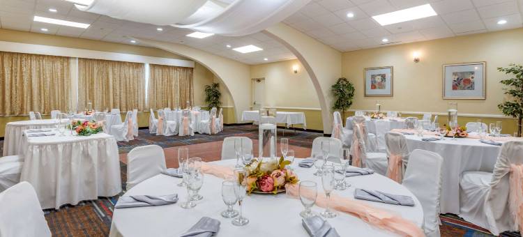 维斯塔尔宾汉顿近大学凯艺套房酒店(Quality Inn & Suites Vestal Binghamton Near University)图片