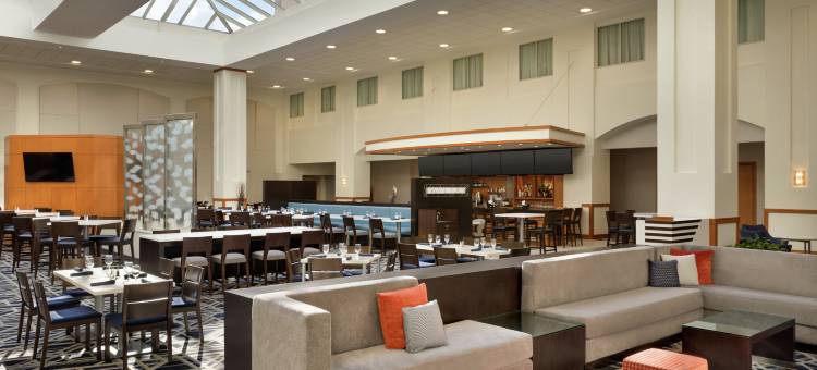 波士顿洛根机场希尔顿安泊酒店(Embassy Suites by Hilton Boston at Logan Airport)图片