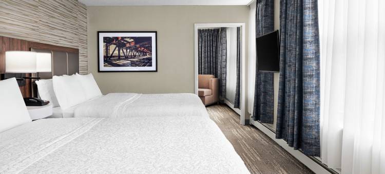 芝加哥市中心欢朋套房酒店(Hampton Inn & Suites Chicago-Downtown)图片