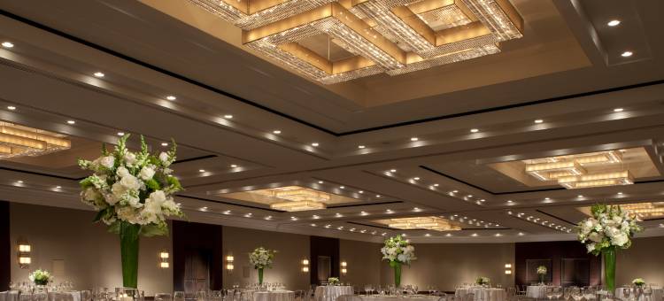 麦克莱恩泰森斯科纳希尔顿酒店(Hilton McLean Tysons Corner)图片