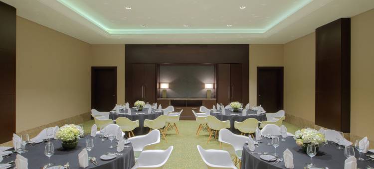 多哈萨德希尔顿逸林酒店(DoubleTree by Hilton Doha - Al Sadd)图片