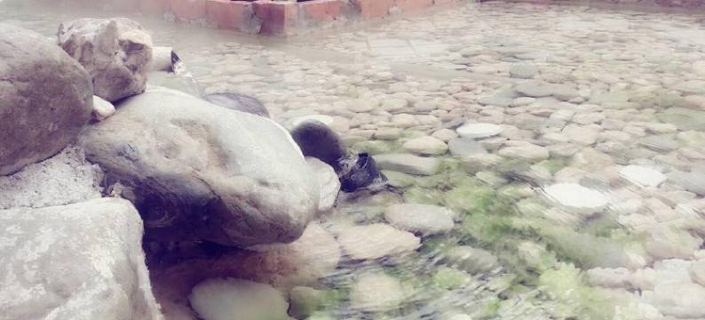 宏宜大饭店图片