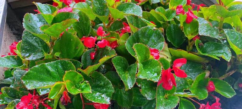 昌黎庆双宾馆图片