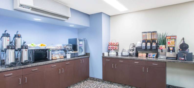 塞内卡福尔斯温德姆麦客达套房酒店(Microtel Inn & Suites by Wyndham Seneca Falls)图片