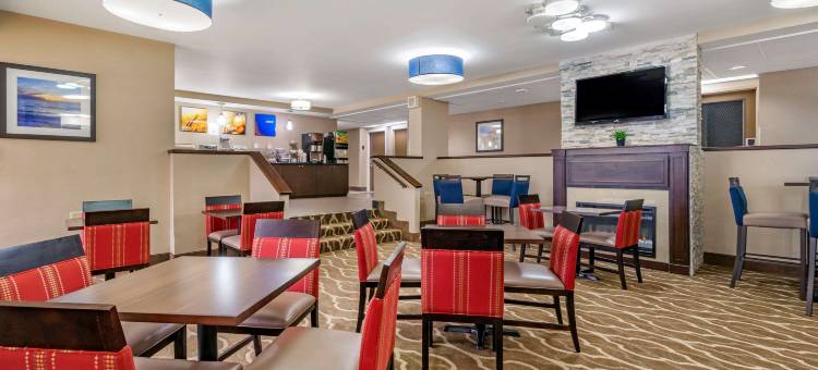 舒适酒店及套房-圣彼得堡-克利尔沃特国际机场(Comfort Inn & Suites St Pete - Clearwater International Airport)图片