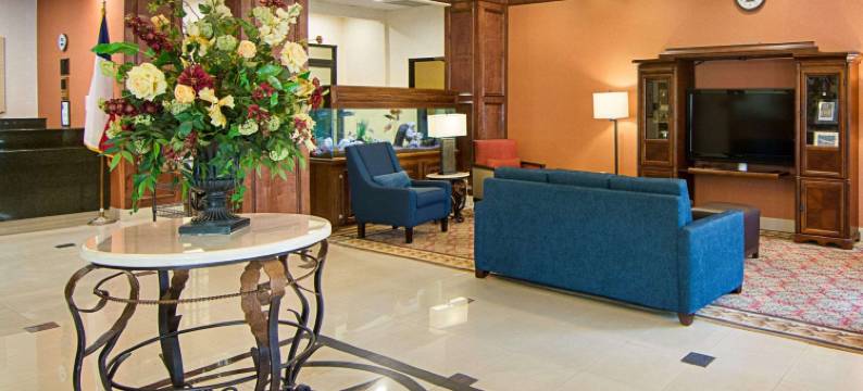 休斯顿基-卡蒂舒适套房酒店(Comfort Inn & Suites Houston West-Katy)图片