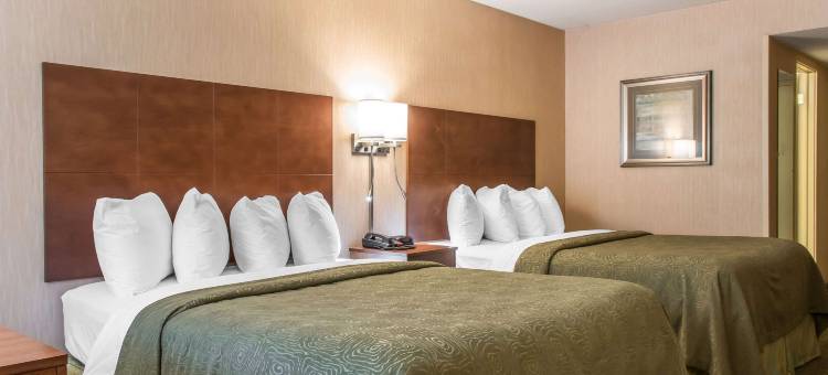 贝德福德凯艺酒店(Quality Inn)图片