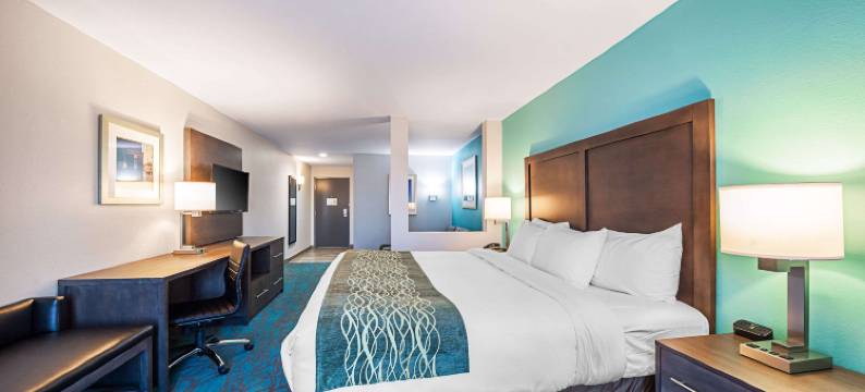 俄克拉何马城布里克敦附近舒适套房酒店(Comfort Inn & Suites Oklahoma City Near Bricktown)图片