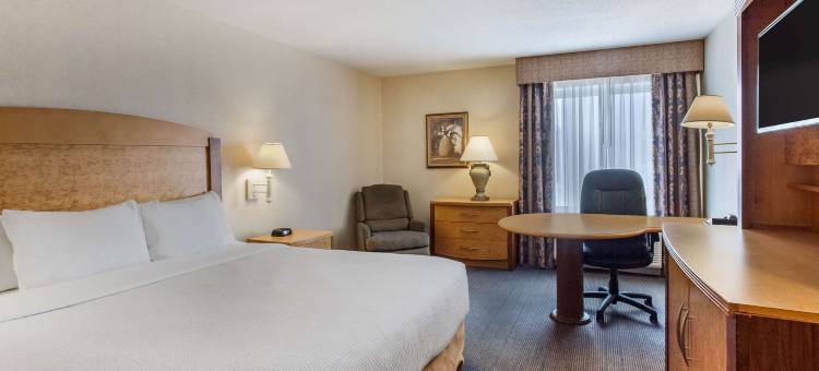 艾斯利普麦克阿瑟机场拉昆塔温德姆套房酒店(La Quinta Inn & Suites by Wyndham Islip - MacArthur Airport)图片