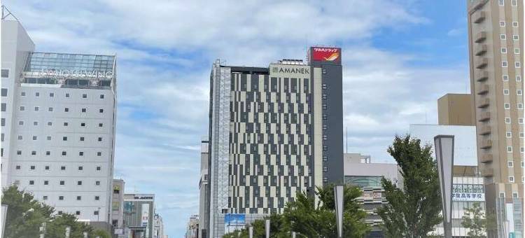 旭川HOTEL AMANEK(HOTEL AMANEK Asahikawa)图片