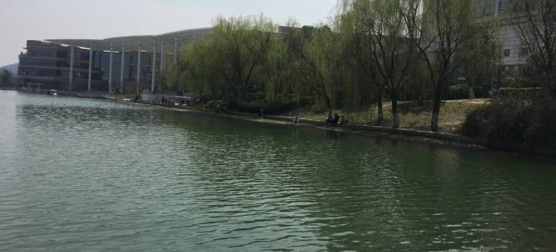 丰宁民宿(文苑路1号分店)图片