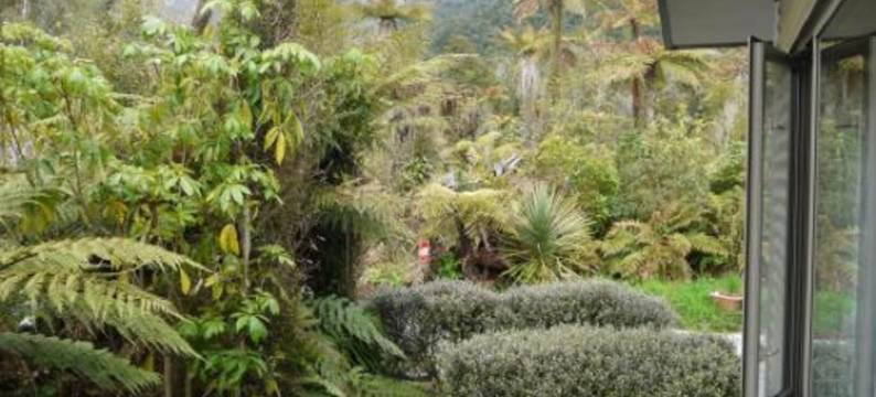 法兰士·约瑟夫树顶度假屋(Franz Josef Treetops)图片