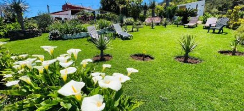 Casa Lazaro, Tegueste图片