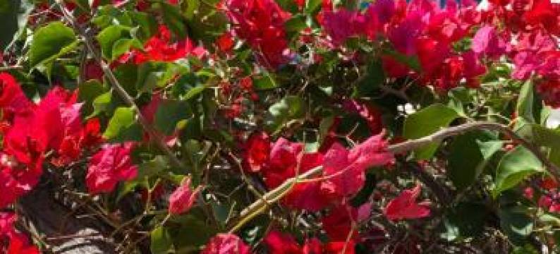 Casa Palacio Ánima图片