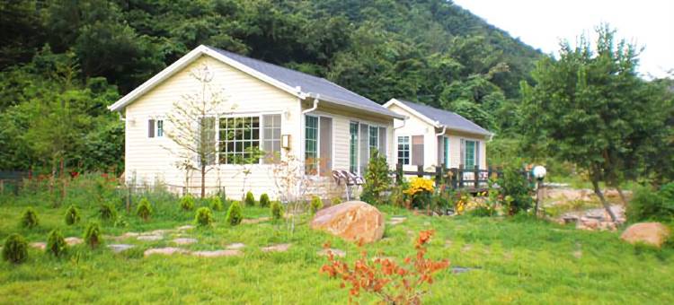 庆州森林早晨旅馆(Gyeongju Forest Morning Pension)图片