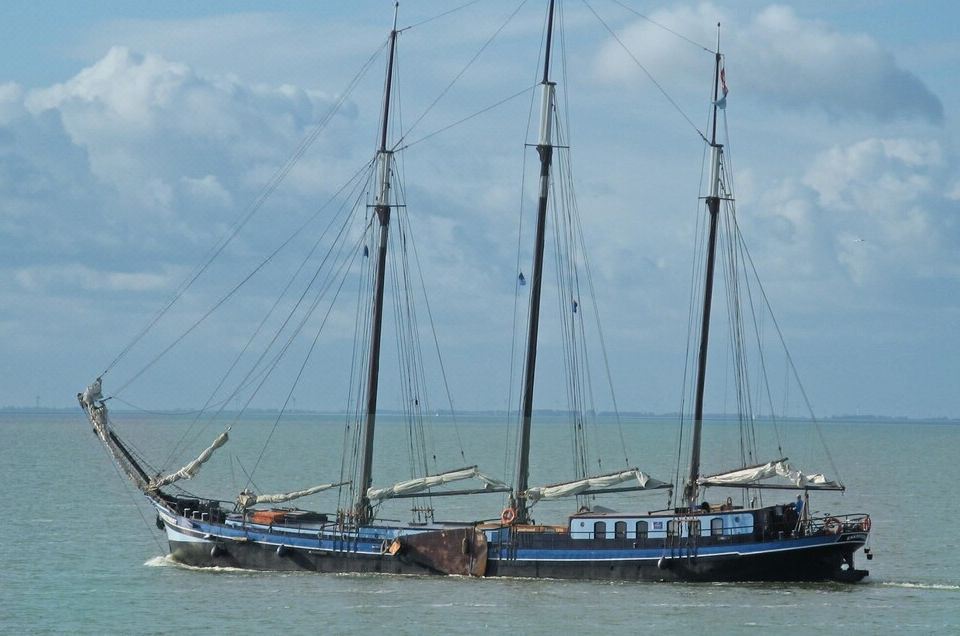 Wachter Hotel Overview