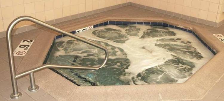 兰辛东欢朋酒店及套房(Hampton Inn & Suites East Lansing/Okemos)图片