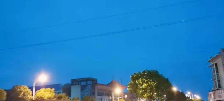 上海青皮树酒店图片