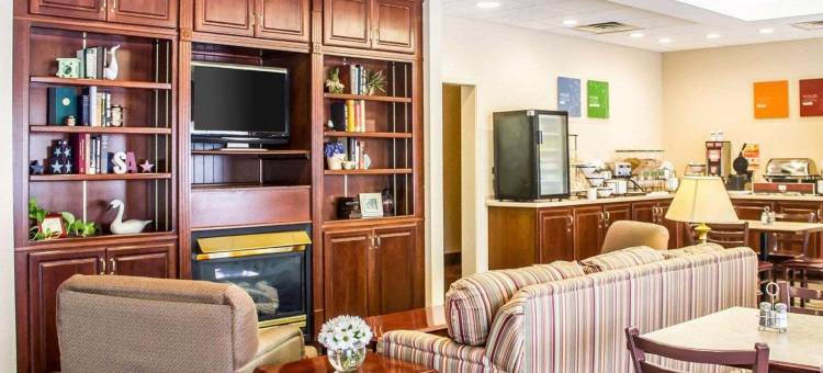 舒适套房酒店(Comfort Inn & Suites)图片