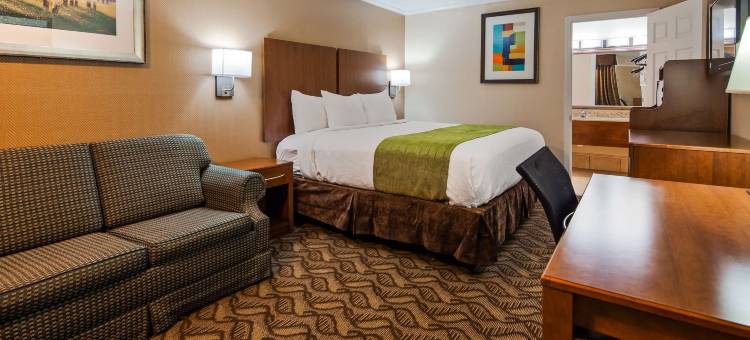 雅典贝斯特韦斯特酒店(Best Western Athens)图片