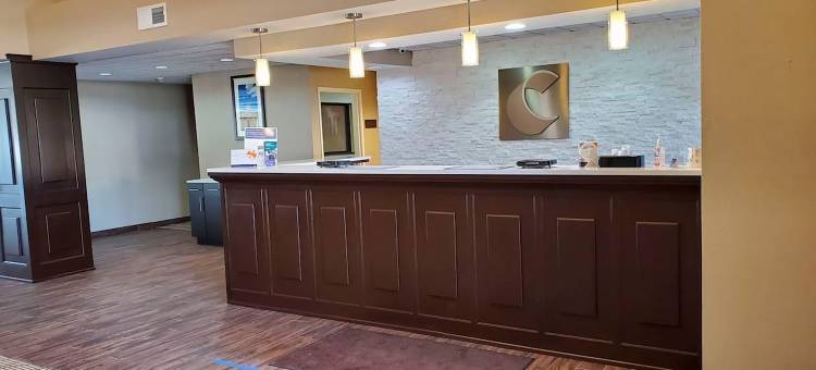 迪凯特-福赛斯舒适套房酒店(Comfort Inn & Suites Decatur-Forsyth)图片