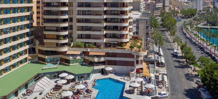 美利亚帕尔马码头酒店(Meliá Palma Marina)图片