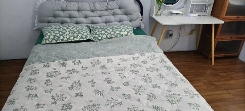 小鹿姐公寓(商场东街分店)图片