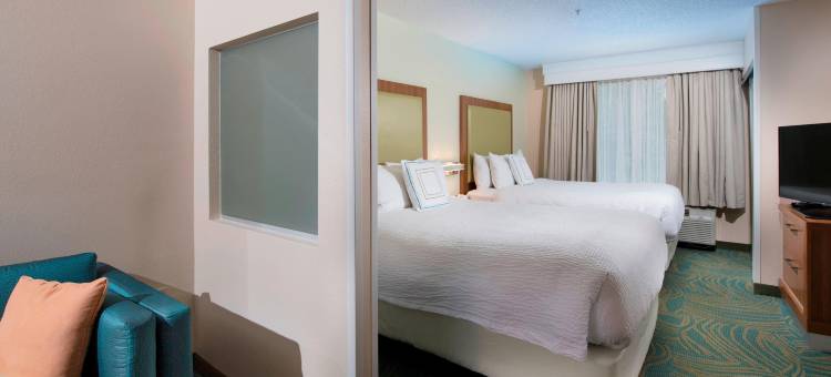 亚特兰大阿尔普哈雷塔万豪SpringHill酒店(SpringHill Suites Atlanta Alpharetta)图片