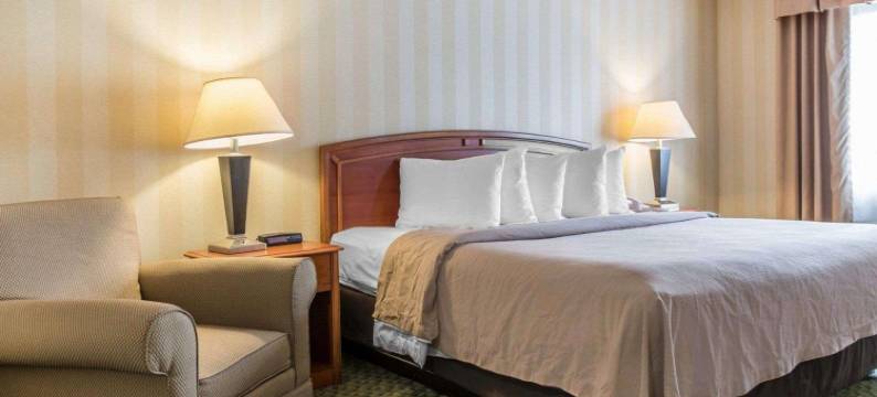 品质酒店机场店(Quality Inn Airport)图片