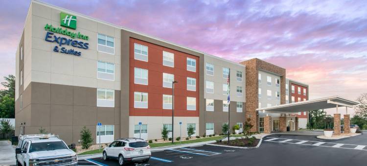 阿拉楚阿盖恩斯维尔地区智选假日套房酒店(Holiday Inn Express & Suites Alachua - Gainesville Area)图片