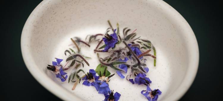 洲际集团-波兰科金普敦 Virgilio(Kimpton Virgilio Polanco by IHG)图片