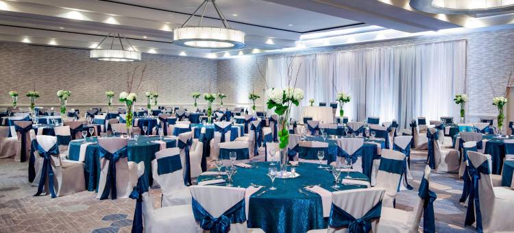 坦帕西海岸臻品之选酒店(The Westshore Grand, A Tribute Portfolio Hotel, Tampa)图片