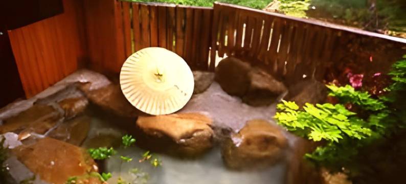 山水日式旅馆(Ryokan Sansui)图片