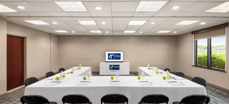 莫比尔西- I-10智选假日套房酒店(Holiday Inn Express & Suites Mobile West - I-10)图片