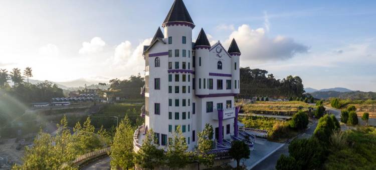 金马伦薰衣草豪宅玩耍酒店(Cameron Lavender Mansion)图片