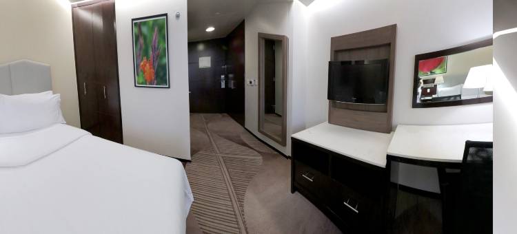 Holiday Inn & Suites 墨西哥城MEDICA SUR(Holiday Inn & Suites Mexico Medica Sur)图片