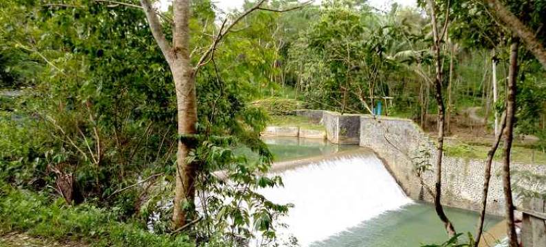 希图芒豪生态小屋旅馆(HAU Eco Lodges Citumang Pangandaran)图片