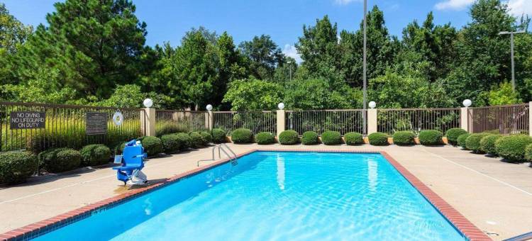 舒适酒店霍恩莱克 - 南黑文(Comfort Inn Horn Lake - Southhaven)图片