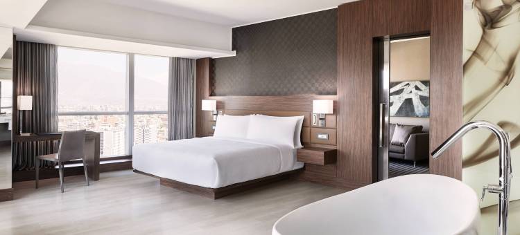 圣地亚哥-斯塔内拉中心AC酒店(AC Hotel Santiago Costanera Center)图片
