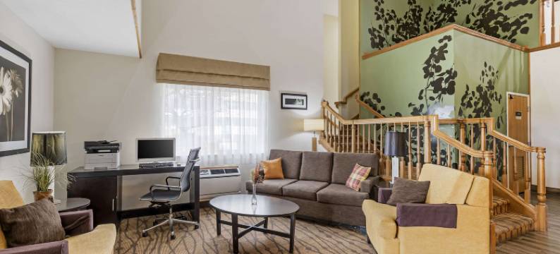 安眠套房酒店(Sleep Inn & Suites)图片