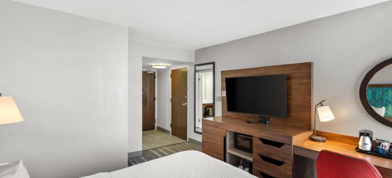 布里奇波特/克拉克斯堡欢朋酒店(Hampton Inn Bridgeport/Clarksburg)图片