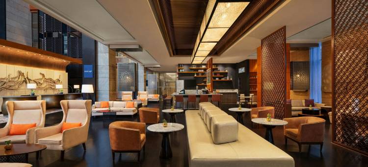 海得拉巴喜来登酒店(Sheraton Hyderabad Hotel)图片