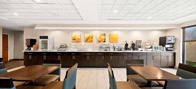 迪凯特-福赛斯舒适套房酒店(Comfort Inn & Suites Decatur-Forsyth)图片