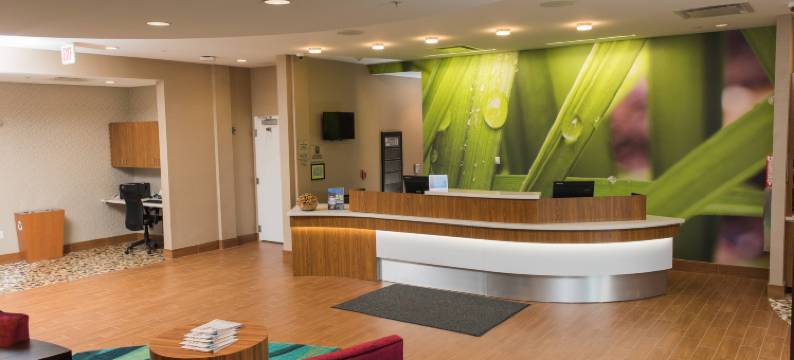 布法罗机场SpringHill Suites酒店(SpringHill Suites Buffalo Airport)图片