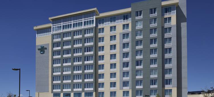 希尔顿Homewood套房-卡尔加里机场(Homewood Suites by Hilton Calgary-Airport)图片