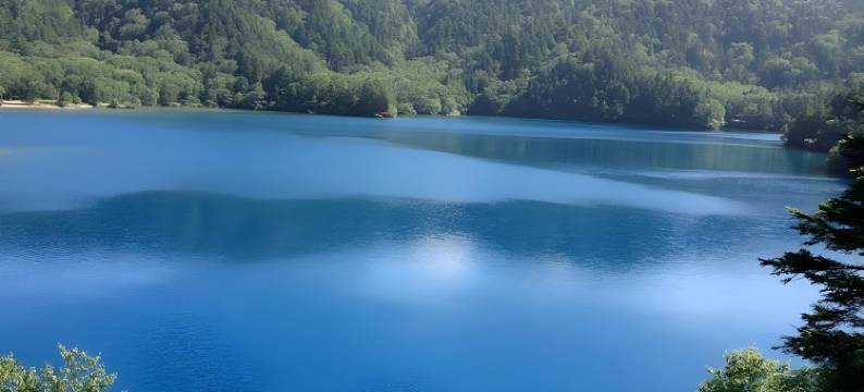 Nozaru青年旅馆(Nozaru Onsen Hostel)图片