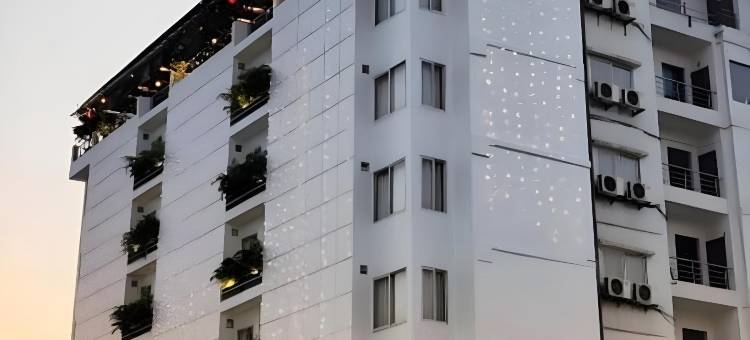 木瓜树酒店(Papaya Tree Hotels)图片